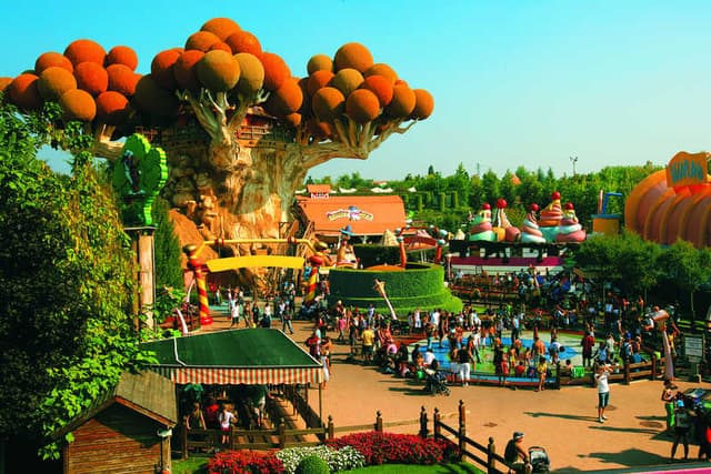 shape