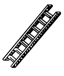 shape